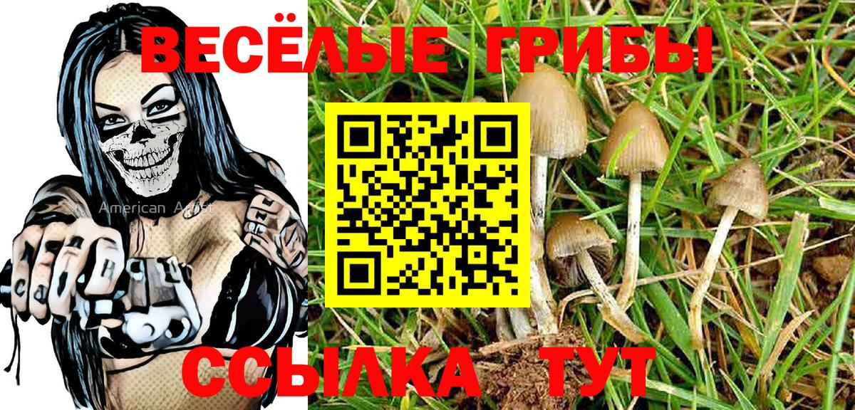 Североуральск  Галлюциногенные грибы Psilocybine cubensis  закладка  Псилоцибиновые грибы Psilocybe  Вход с VPN 